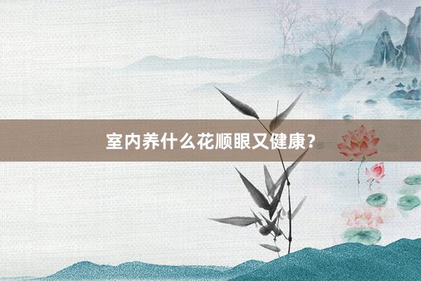 室内养什么花顺眼又健康？