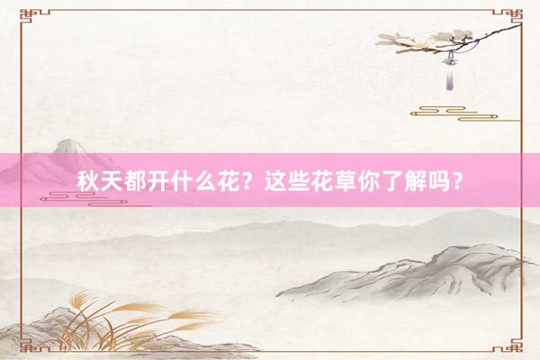 秋天都开什么花？这些花草你了解吗？