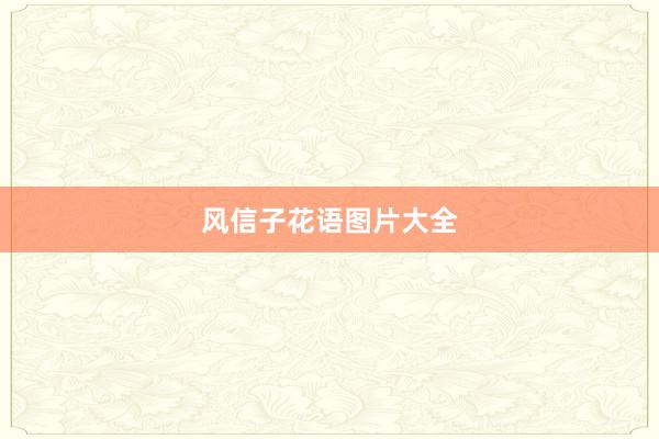 风信子花语图片大全