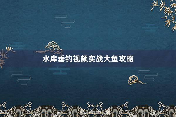 水库垂钓视频实战大鱼攻略